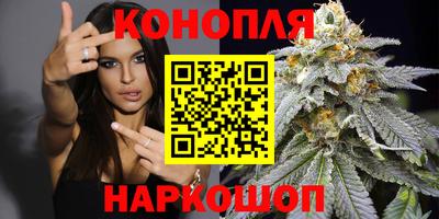 Альфа ПВП Гулькевичи