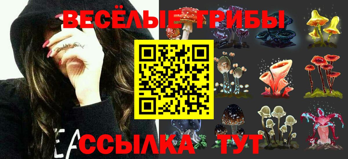 Вичуга  Галлюциногенные грибы ЛСД  Вход с VPN 
